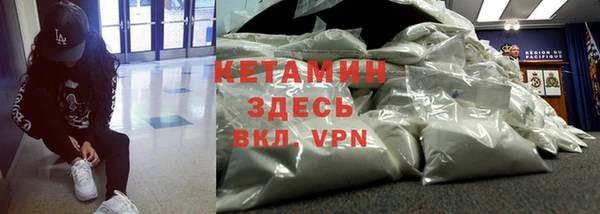 шишки Новозыбков