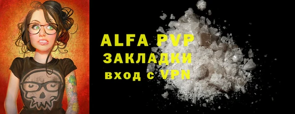 крисы Новодвинск