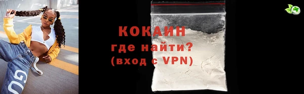 крисы Новодвинск
