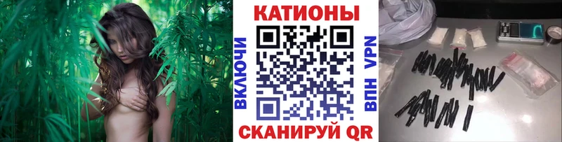 MEGA зеркало Новозыбков МЕФ мяу мяу