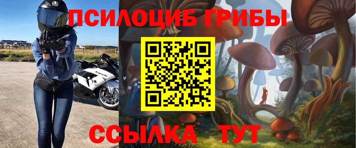 Псилоцибиновые грибы MAGIC MUSHROOMS Новозыбков