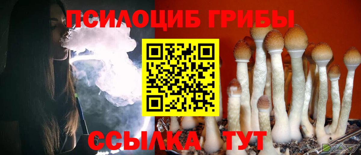 Новозыбков  Галлюциногенные грибы прущие грибы  Вход с VPN 