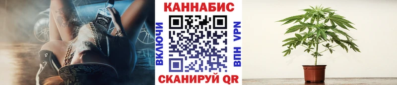 Бошки Шишки AK-47  Новозыбков 